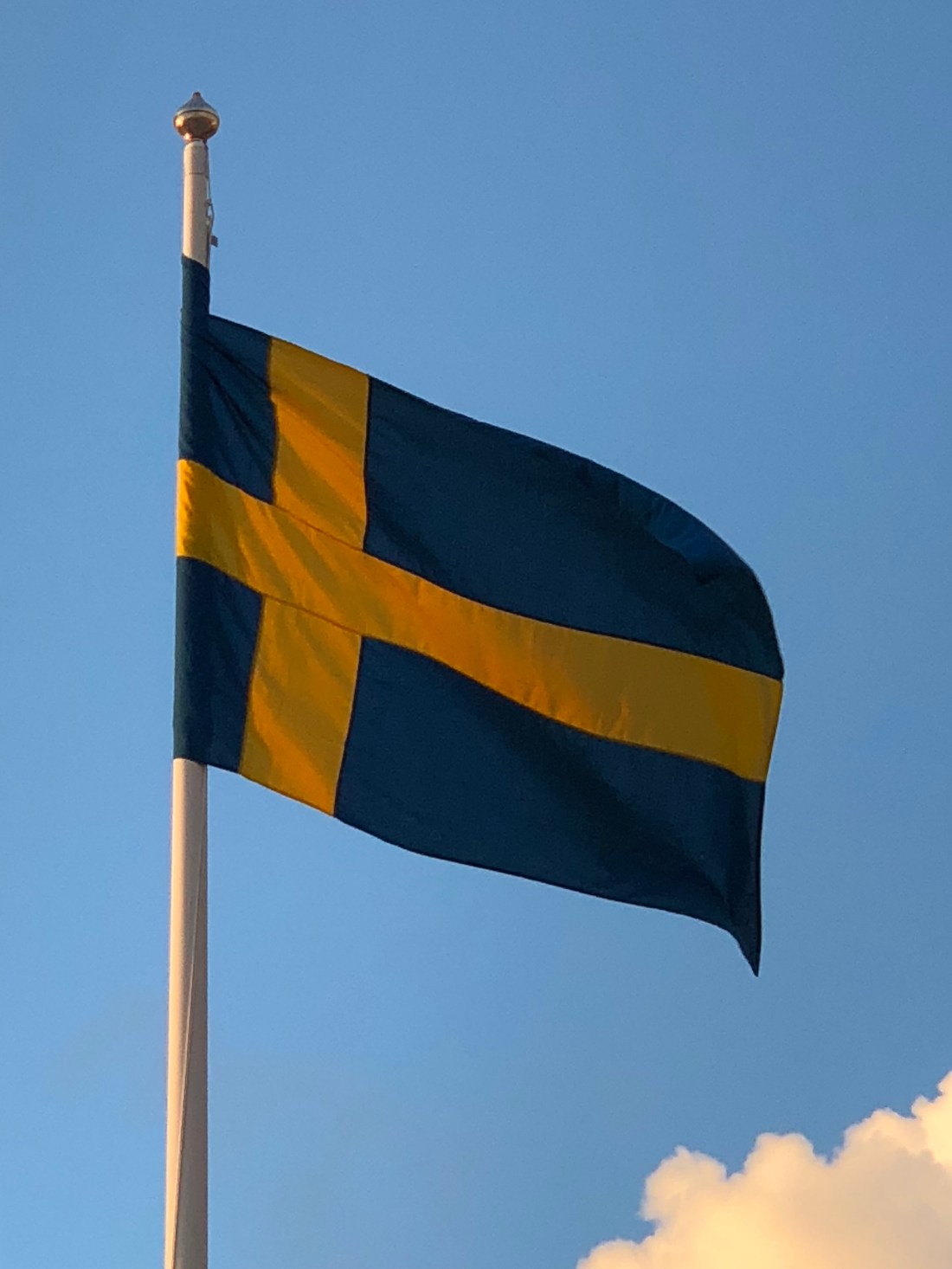 P%Kdut04QcmuBkMYahBXTg